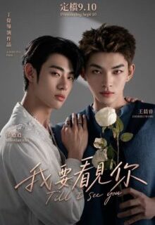 Till I See You (2026)